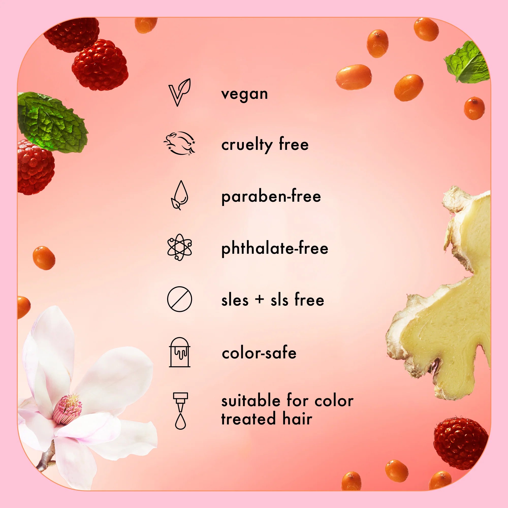 high shine + protect shampoo + conditioner