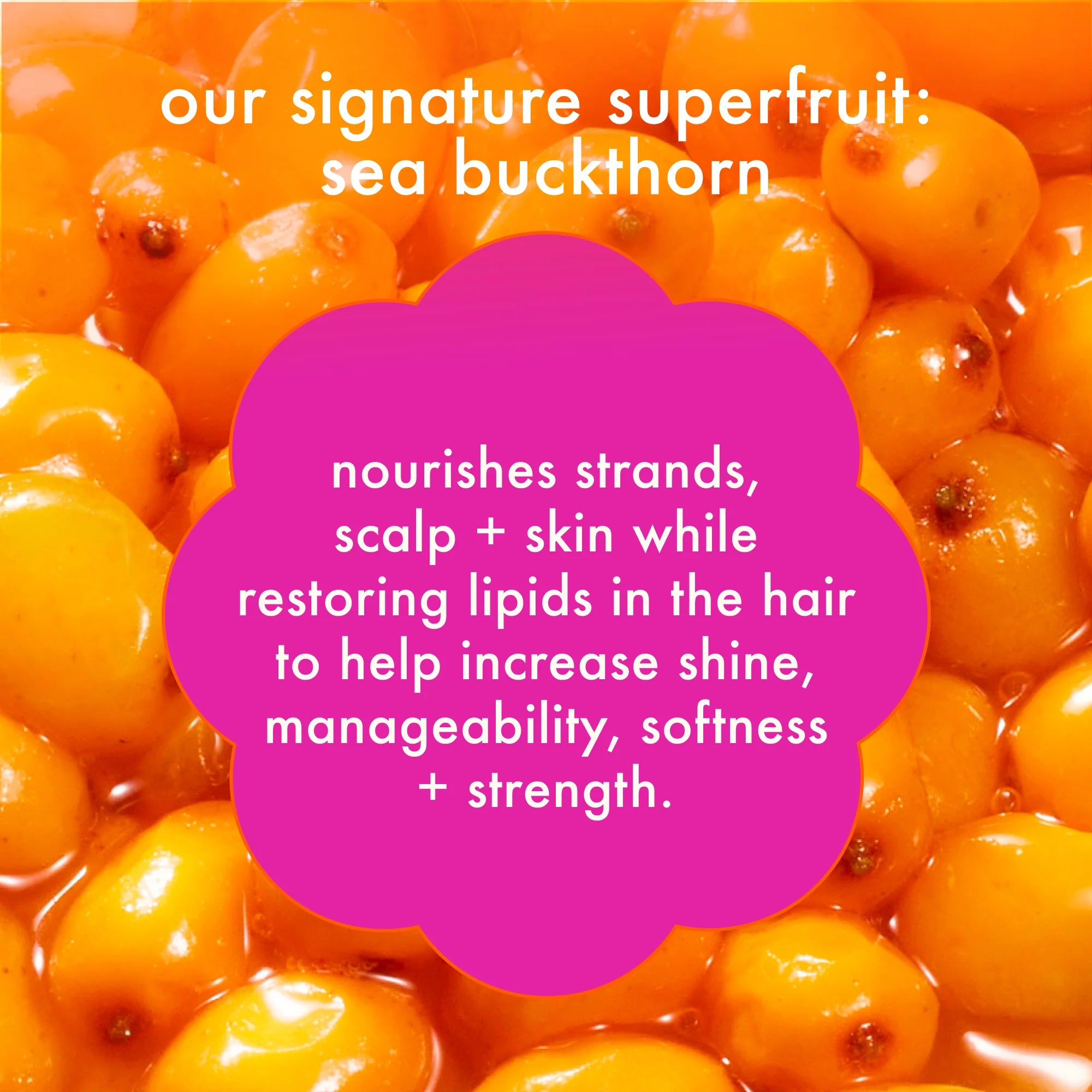 intense moisture  conditioner