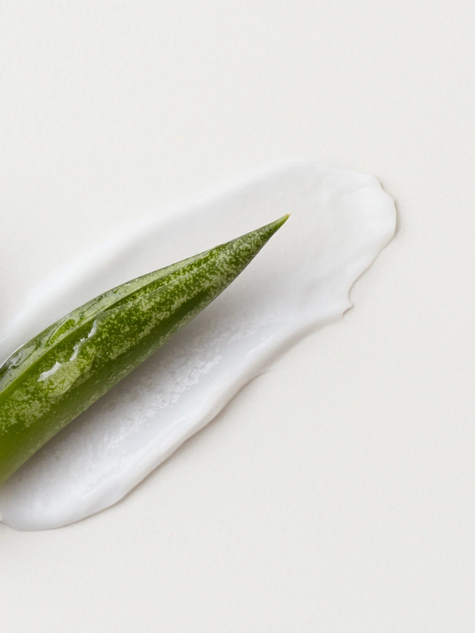 FAST FOOD Leave-On Conditioner