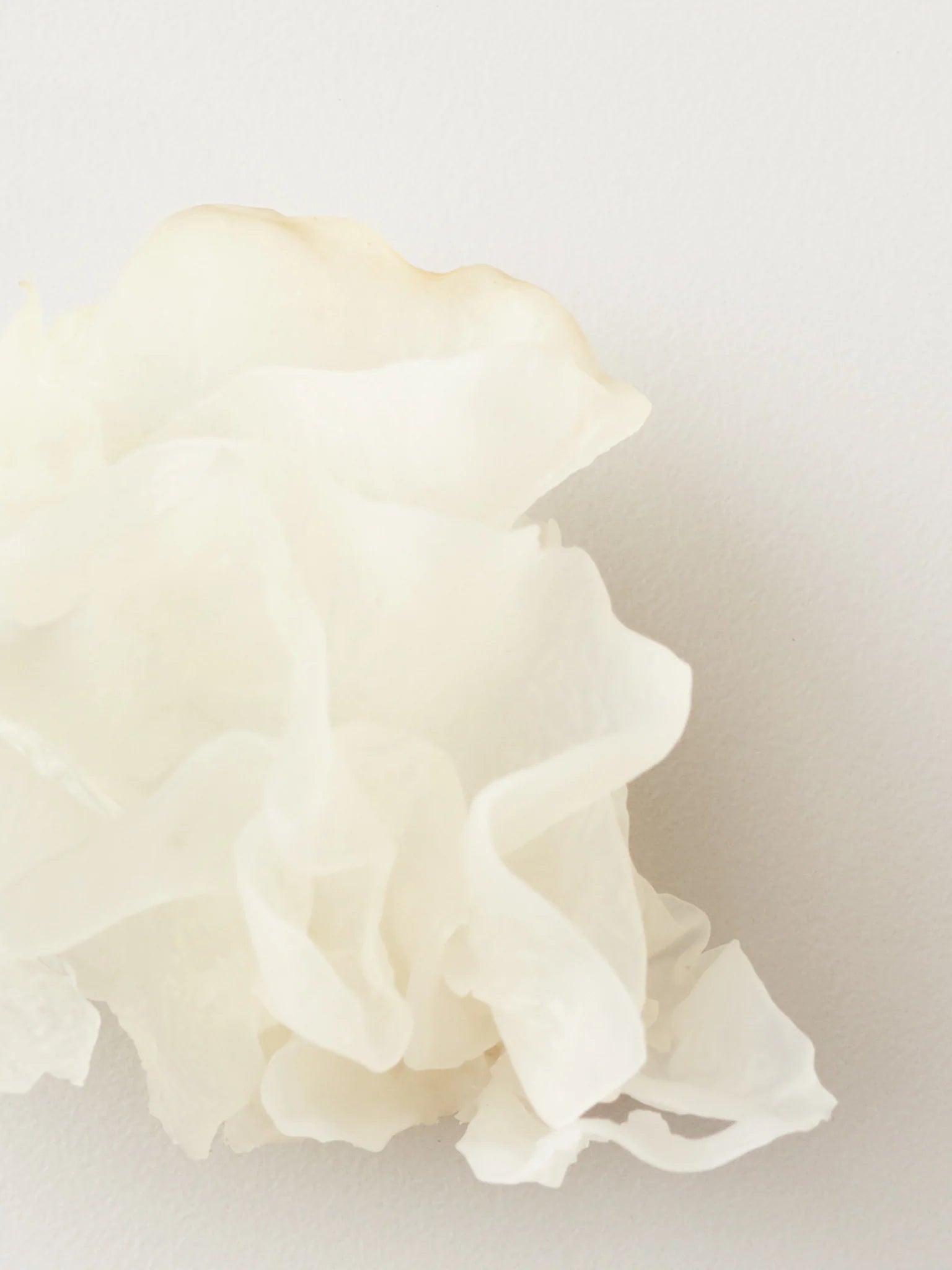 NOURISH Snow Mushroom Moisture Mask