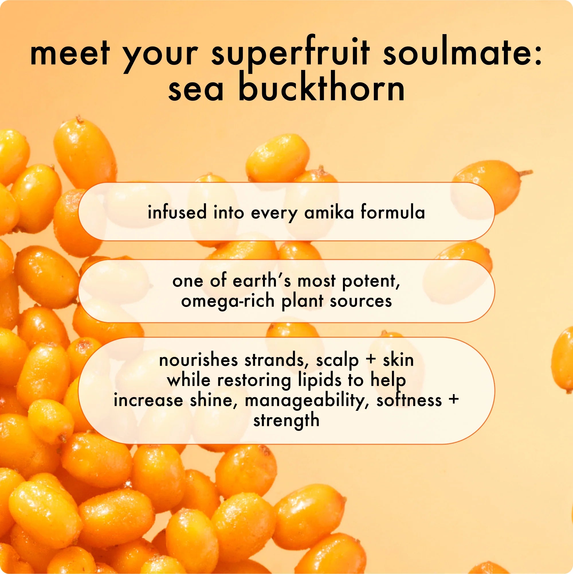 the kure strength repair conditioner