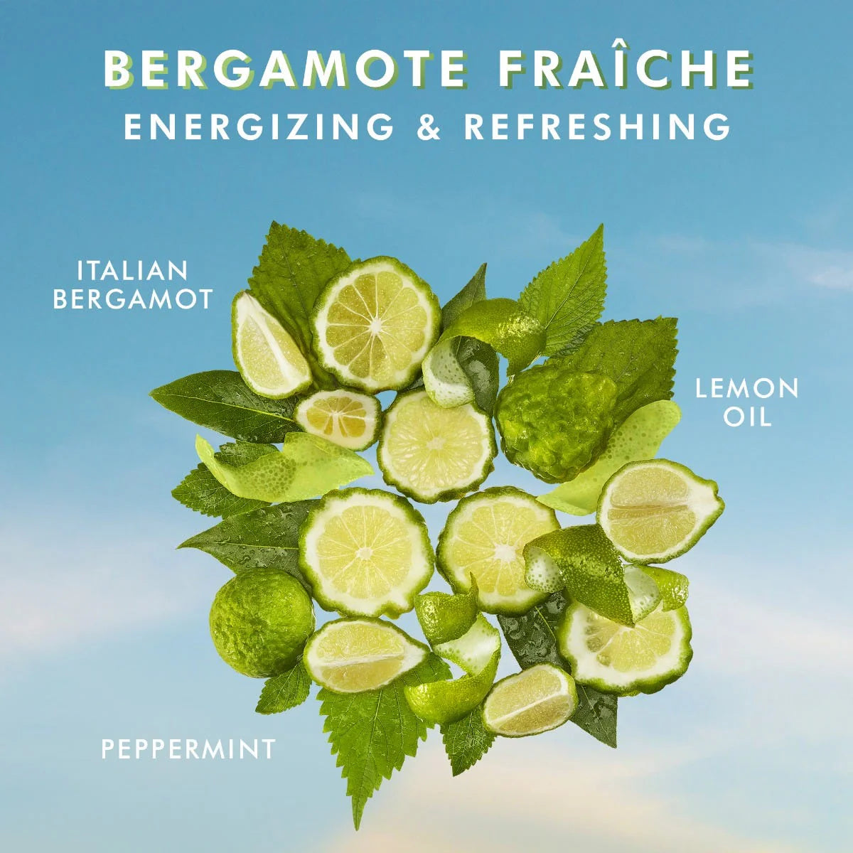 Hand Wash Fresh Bergamot