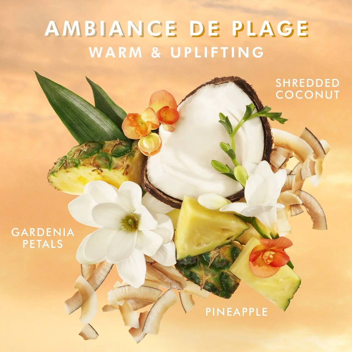 Beach Ambiance Body Lotion